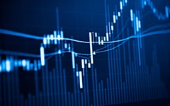 Sustainable portfolio management, long term wealth management with risk diversification concept