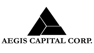 Ex-Aegis Capital Broker is Barred Over Churning Allegations
